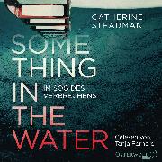 Something in the Water - Im Sog des Verbrechens